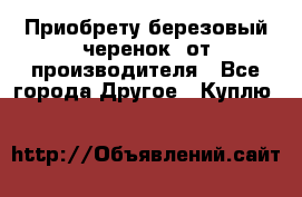 Приобрету березовый черенок  от производителя - Все города Другое » Куплю   